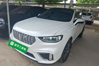 魏牌 VV5 2021款 1.5T 两驱智先锋