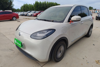 五菱汽车 五菱缤果 2024款 333km 悦享款