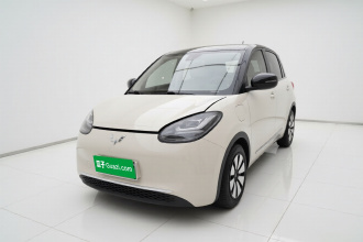 五菱汽车 五菱缤果 2023款 333km 灵犀互联款