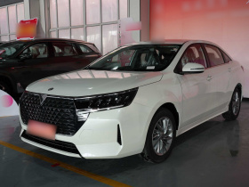 启辰D60 2023款 PLUS 1.6L XE CVT潮领版