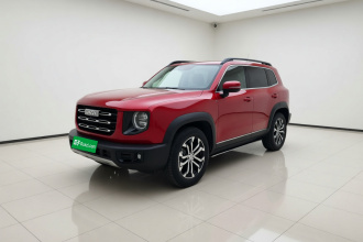 哈弗大狗 2021款 1.5T DCT两驱边牧-旺财版