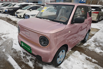 吉利银河 2024款 熊猫mini 200km 耐力熊