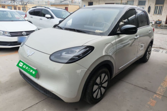 五菱汽车 五菱缤果 2024款 333km 悦享款