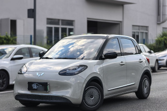 五菱汽车 五菱缤果 2023款 333km 灵犀互联款