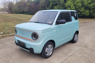 吉利银河 2024款 熊猫mini 200km 耐力熊