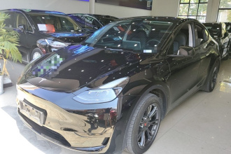 特斯拉 Model Y 2023款 后轮驱动版