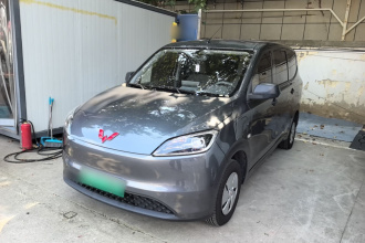 五菱汽车 五菱宏光新能源 2024款 纯电版 300KM 标准型