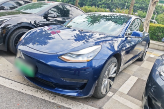 特斯拉 Model 3(进口) 2019款 长续航后驱版