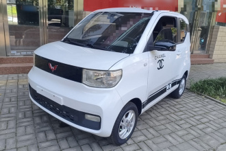 五菱汽车 宏光MINIEV 2020款 自在款 三元锂