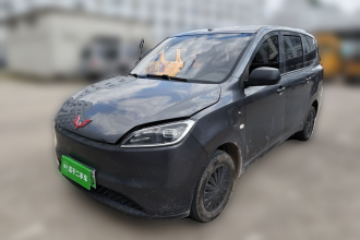 五菱汽车 五菱宏光新能源 2024款 纯电版 300KM 标准型