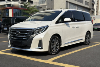 广汽传祺 传祺M8 2020款 领航款 390T 尊贵版