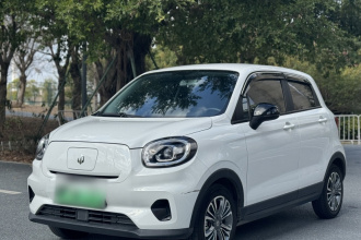 零跑汽车 零跑T03 2024款 310舒享版