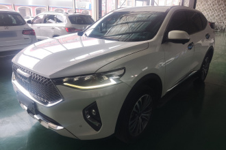 哈弗F7 2021款 2.0T 两驱i范