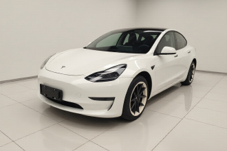 特斯拉 Model 3 2021款 标准续航后驱升级版