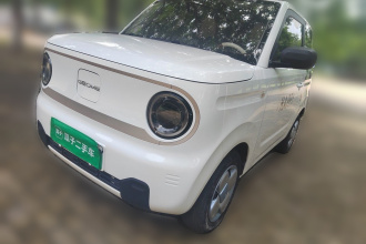 吉利银河 2023款 熊猫mini 200km 耐力熊