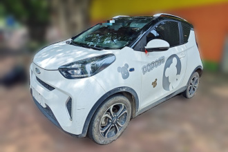 奇瑞QQ 小蚂蚁 2019款 4座智炫版 35kWh
