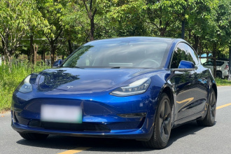 特斯拉 Model 3 2020款 改款 长续航后轮驱动版