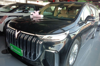 岚图汽车 岚图梦想家 2022款 低碳版 家