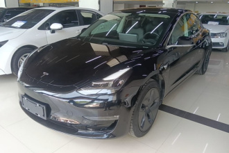 特斯拉 Model 3 2020款 改款 长续航后轮驱动版