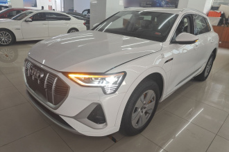 奥迪e-tron 2021款 50 quattro 豪华型