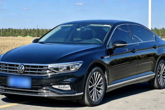 大众 迈腾 2020款 380TSI DSG 豪华型
