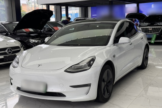 特斯拉 Model 3(进口) 2019款 长续航后驱版