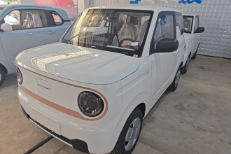吉利银河 2024款 熊猫mini 200km 耐力熊