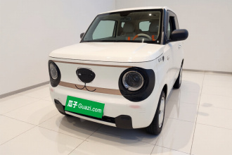 吉利银河 2023款 熊猫mini 200km 耐力熊