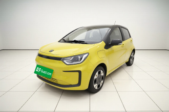 思皓 2022款 花仙子款 四叶草