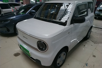吉利银河 2023款 熊猫mini 200km 耐力熊