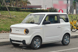 吉利银河 2023款 熊猫mini 120km 萌萌熊