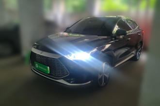 比亚迪 宋PLUS新能源 2021款 DM-i 110KM 旗舰型