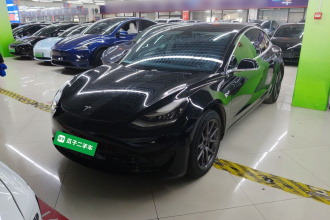 特斯拉 Model 3 2020款 改款 标准续航后驱升级版