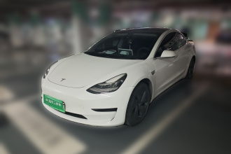 特斯拉 Model 3 2020款 标准续航后驱升级版