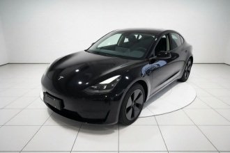 特斯拉 Model 3 2020款 改款 标准续航后驱升级版