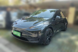 特斯拉 Model Y 2024款 后轮驱动版