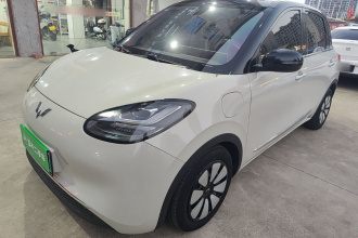 五菱汽车 五菱缤果 2023款 410km 灵犀尊享款