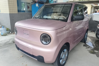 吉利银河 2023款 熊猫mini 200km 耐力熊