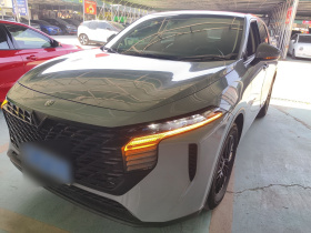 启辰大V 2021款 260T 爱豆版