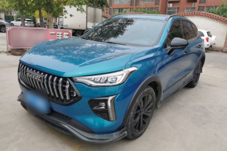 哈弗赤兔 2021款 激擎版 1.5T 黄金兔