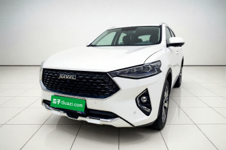 哈弗F7x 2019款 2.0T 两驱极智科技版