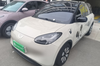 五菱汽车 五菱缤果 2024款 333km 悦享款