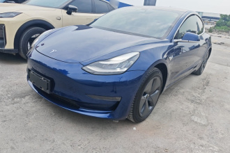 特斯拉 Model 3 2020款 改款 长续航后轮驱动版