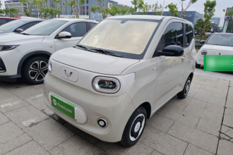 五菱汽车 宏光MINIEV 2024款 第三代 215km 青春版
