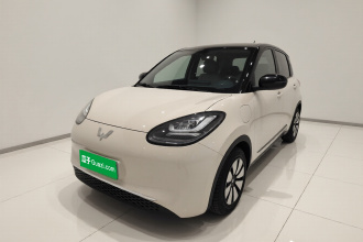 五菱汽车 五菱缤果 2024款 333km 悦享款