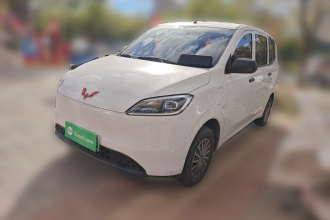 五菱汽车 五菱宏光新能源 2024款 纯电版 300KM 标准型
