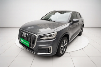 奥迪Q2L e-tron 2019款 Q2L e-tron 纯电智酷型