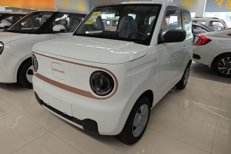 吉利银河 2024款 熊猫mini 200km 耐力熊
