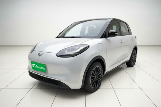 五菱汽车 五菱缤果 2023款 333km 灵犀互联款