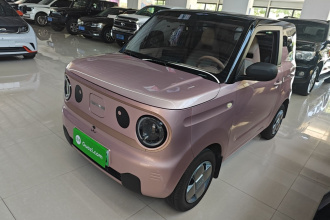 吉利银河 2024款 熊猫mini 200km 耐力熊